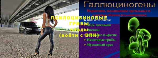 каннабис Аркадак