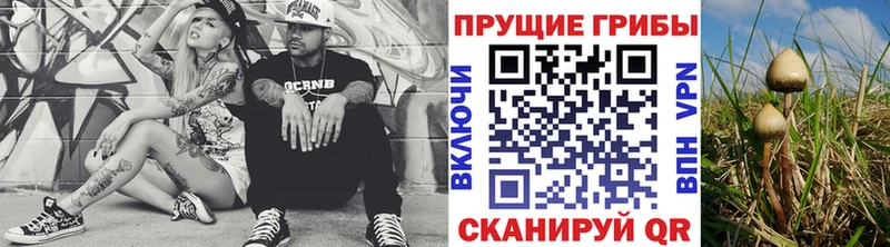 купить   Сольцы  мега рабочий сайт  Галлюциногенные грибы ЛСД 